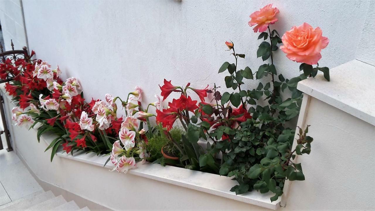 Guest House Fenix Брела Екстер'єр фото